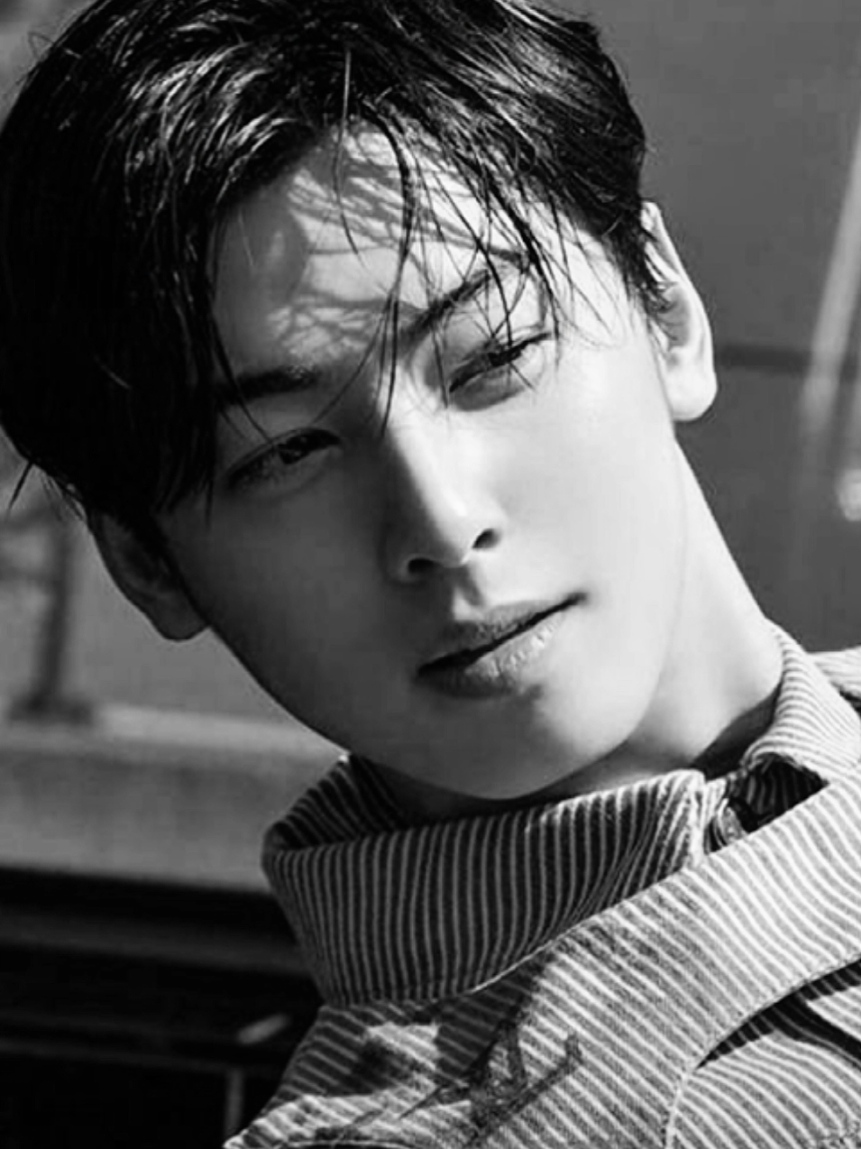 @Cha Eun Woo Edits