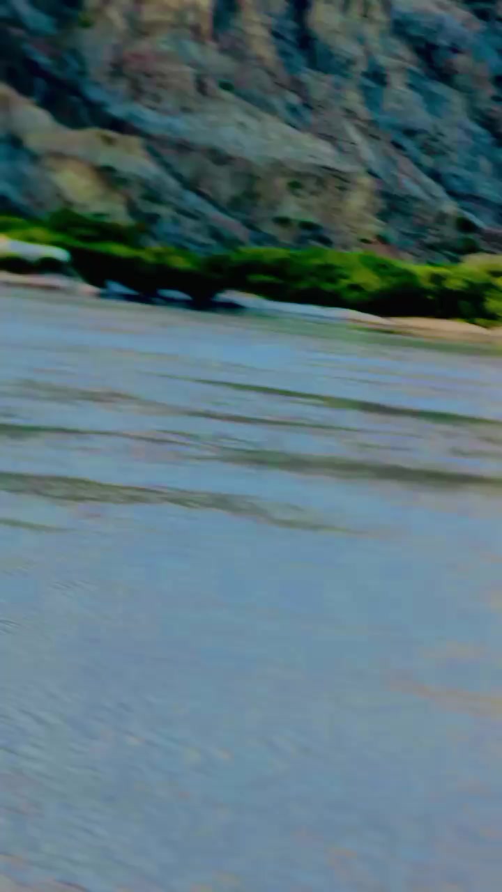 @🔥(ماڑی آلہ) ملMuza