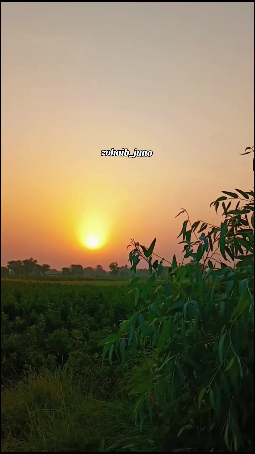@ز..♡
