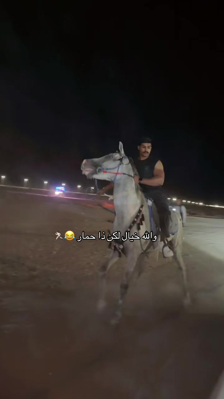 @سعود بن فهد 🐆