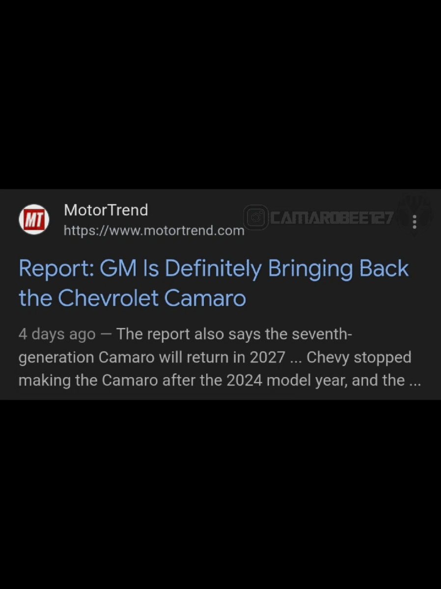 @Camaro Bee-127