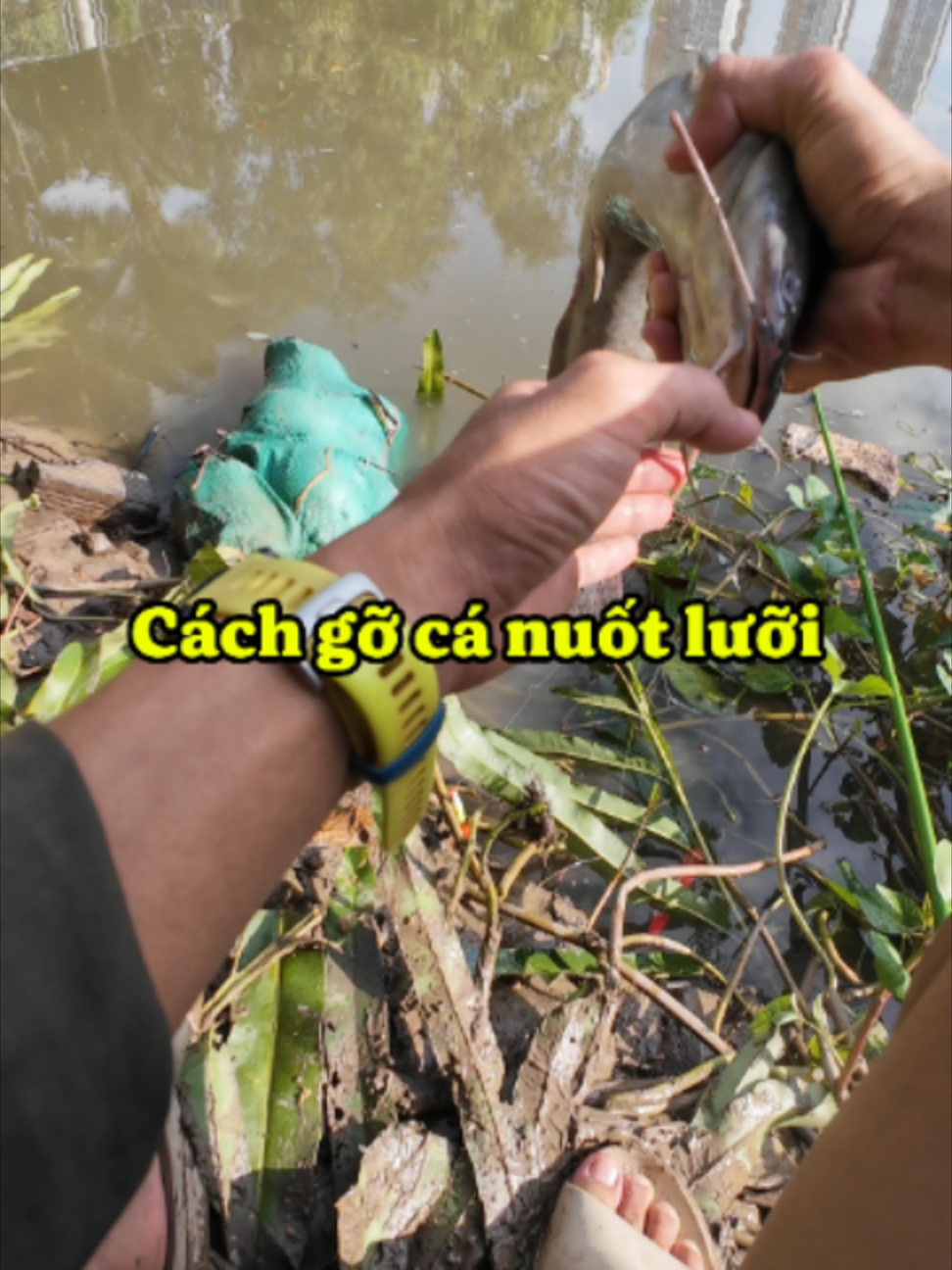 @Long Tập Câu Cá