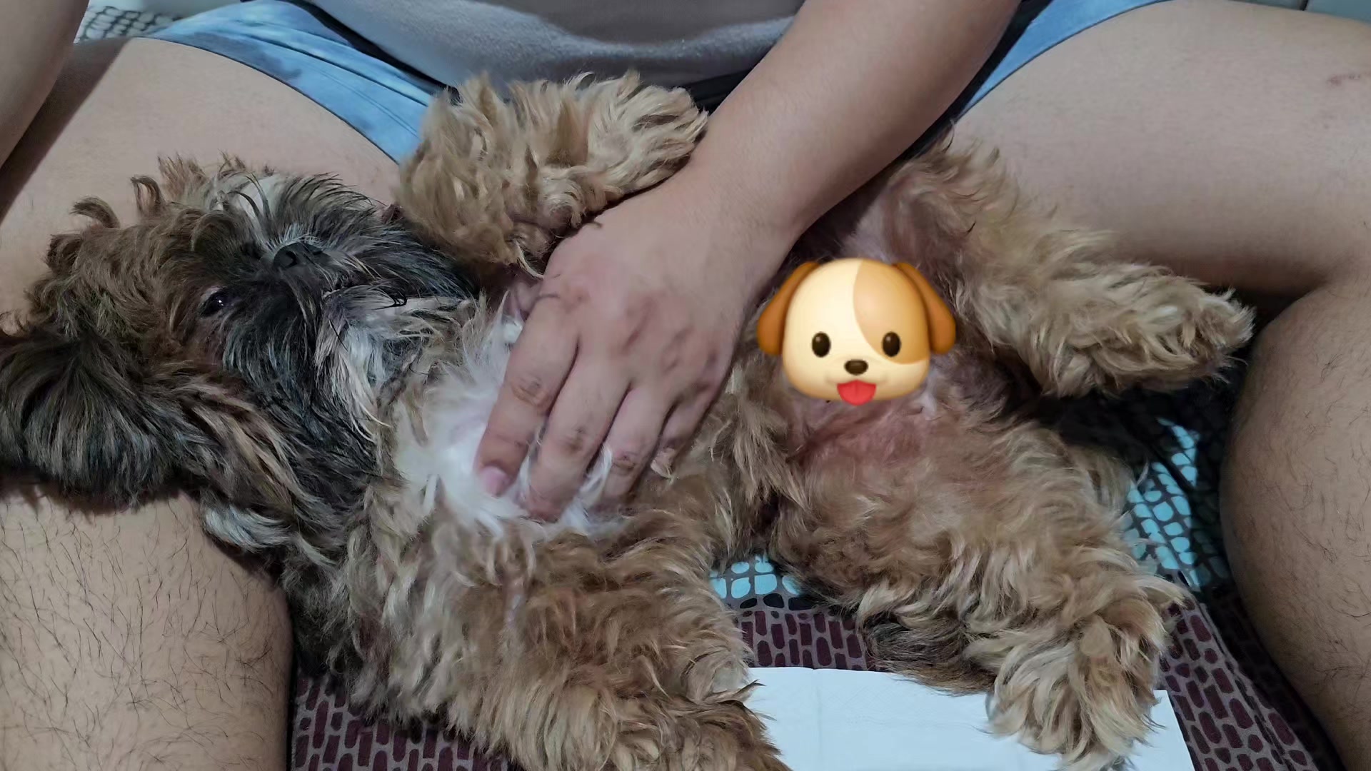 @Je & Cooper ♡