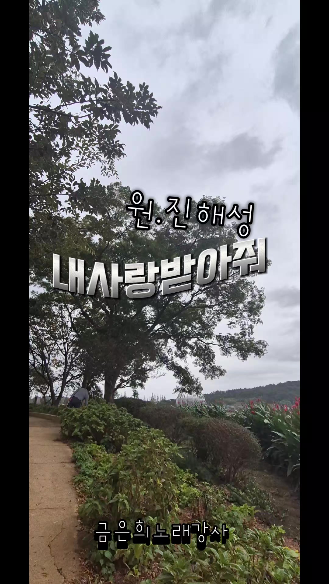 @금은희