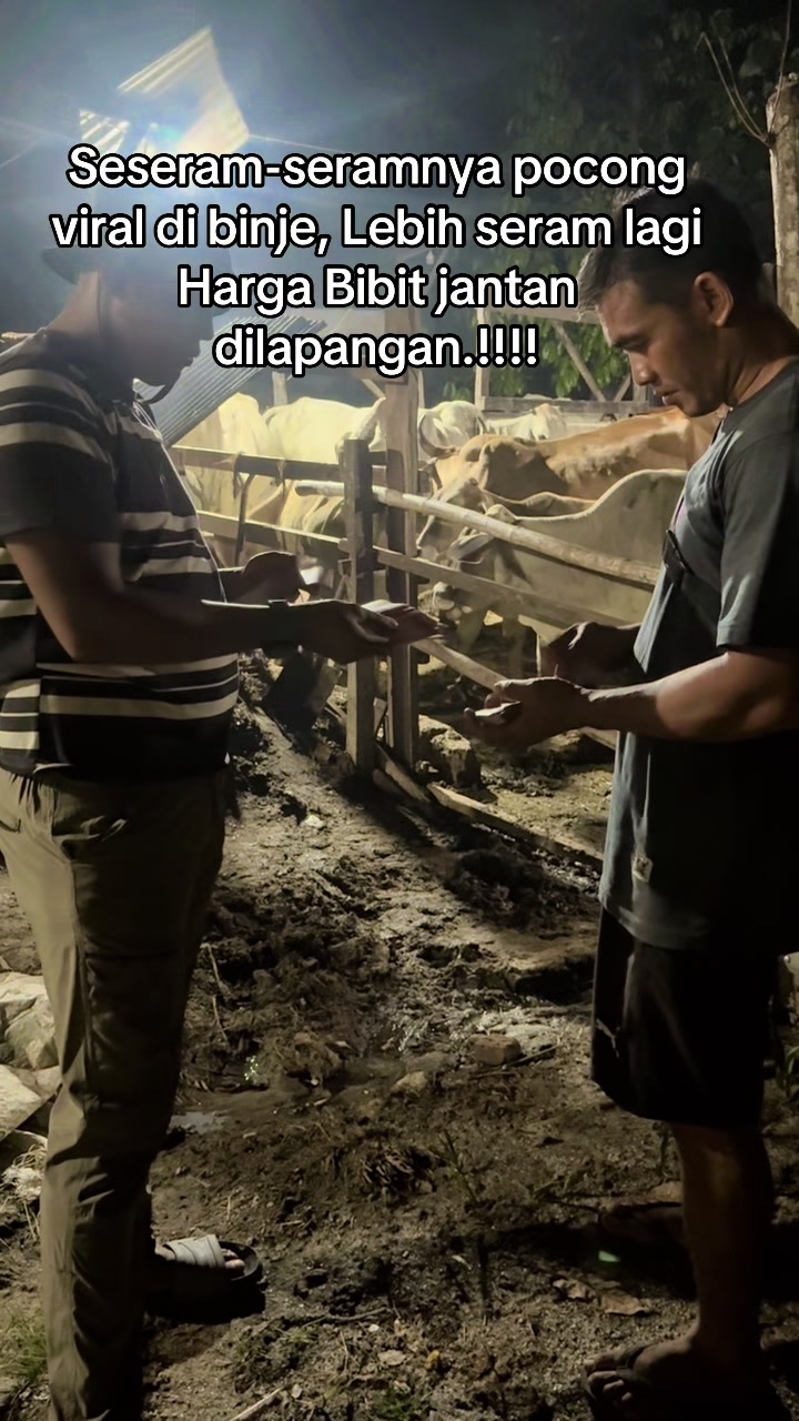 @Petarung Medan🕷️⚡️