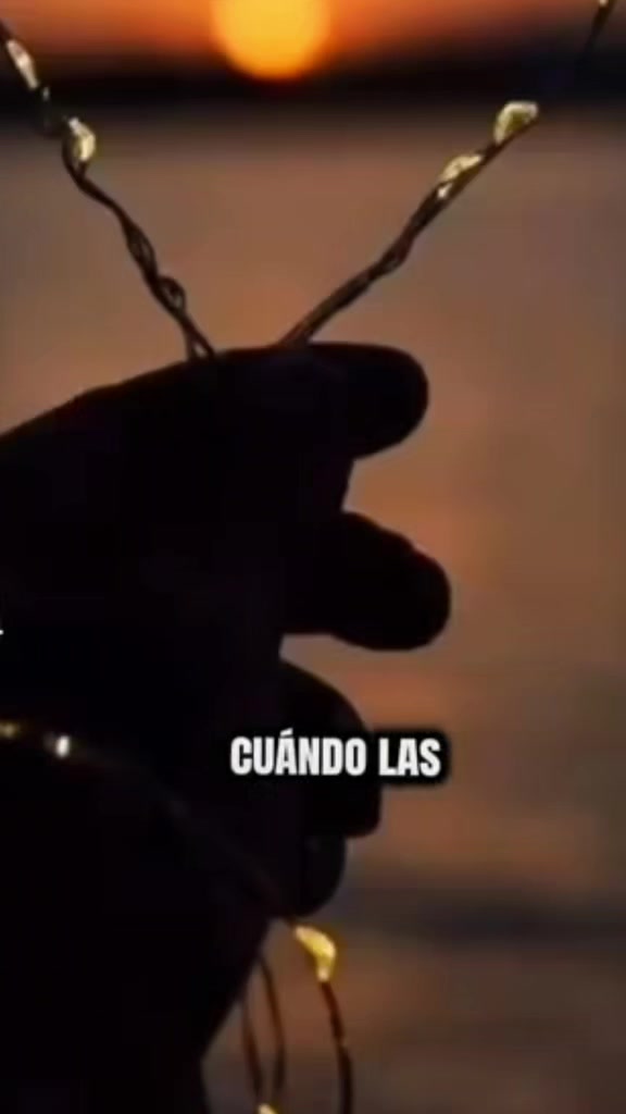 @S&alpha;ɳԃყ🍉🫶🏻🇬🇹