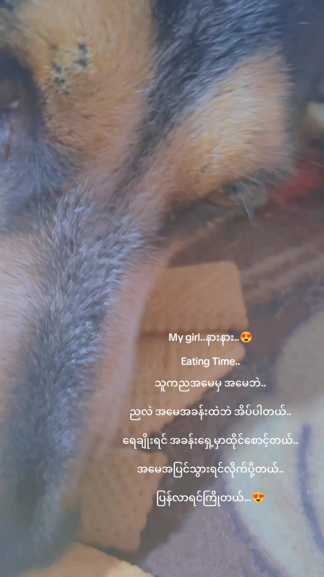 @Thida Htun