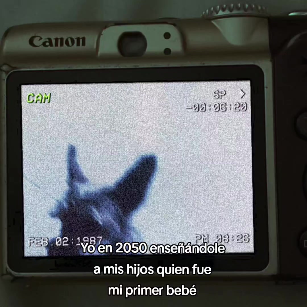 @Mr_frases
