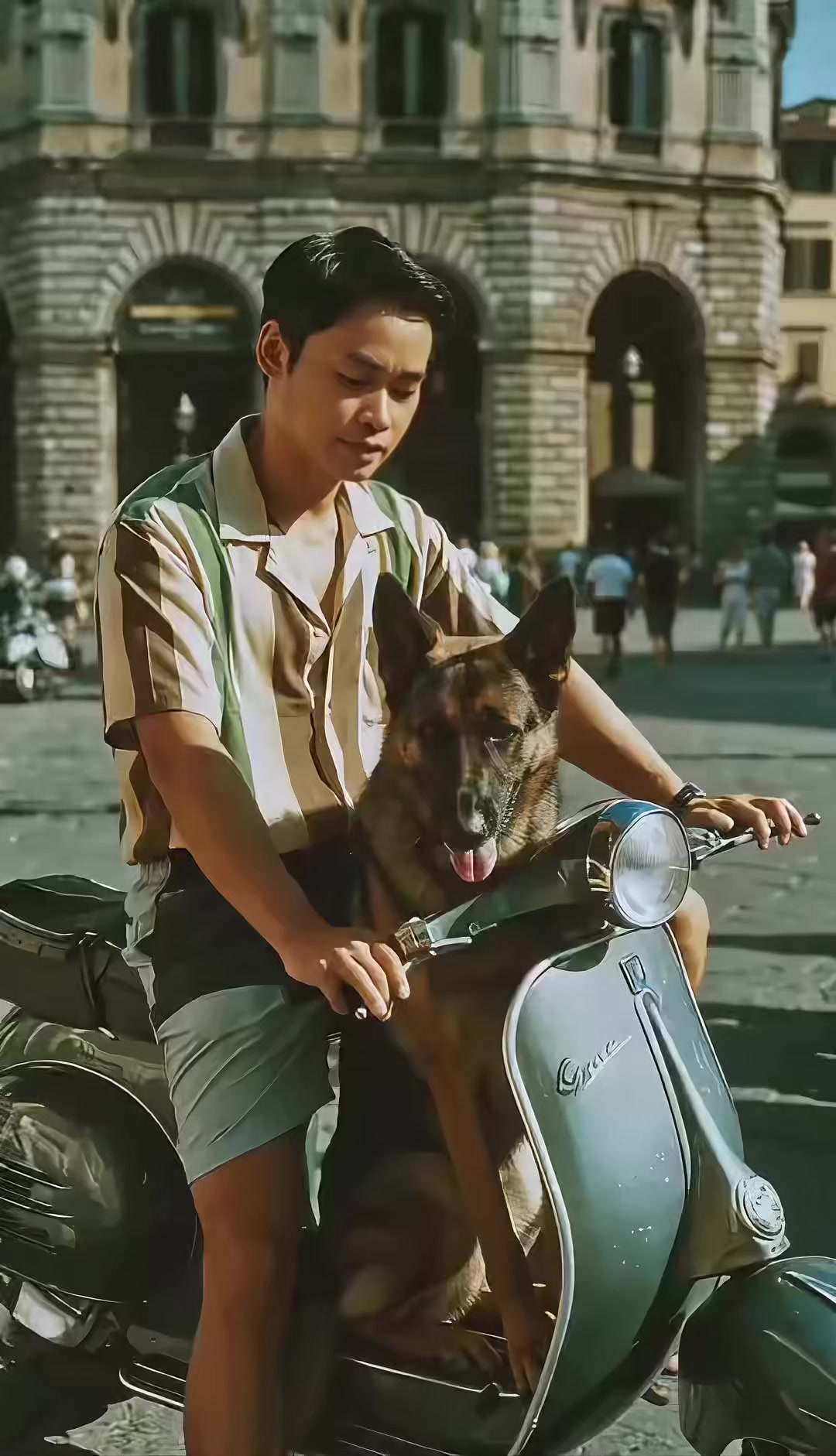 @Trại ch&oacute; Becgie ho&agrave;ng Minh