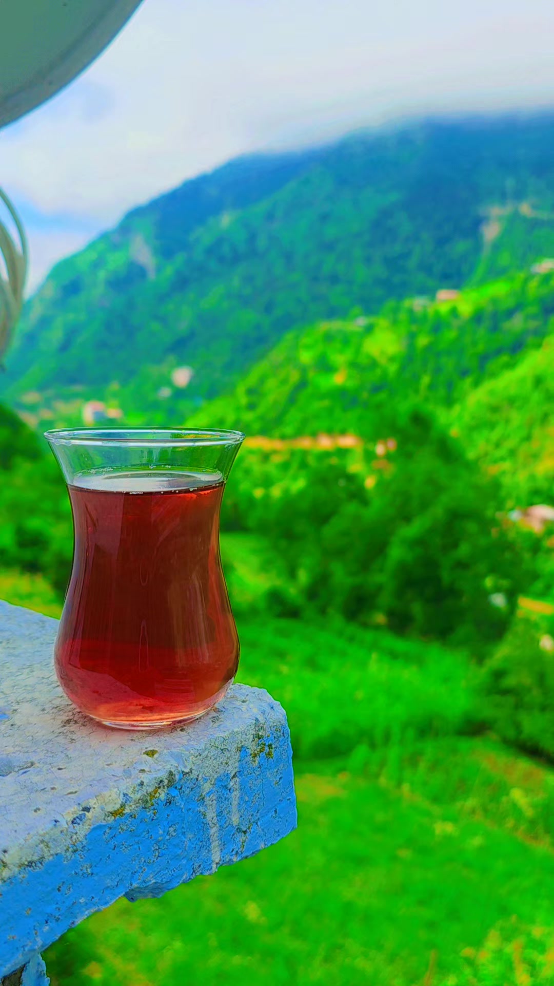 @Hamza Yıldız 3408