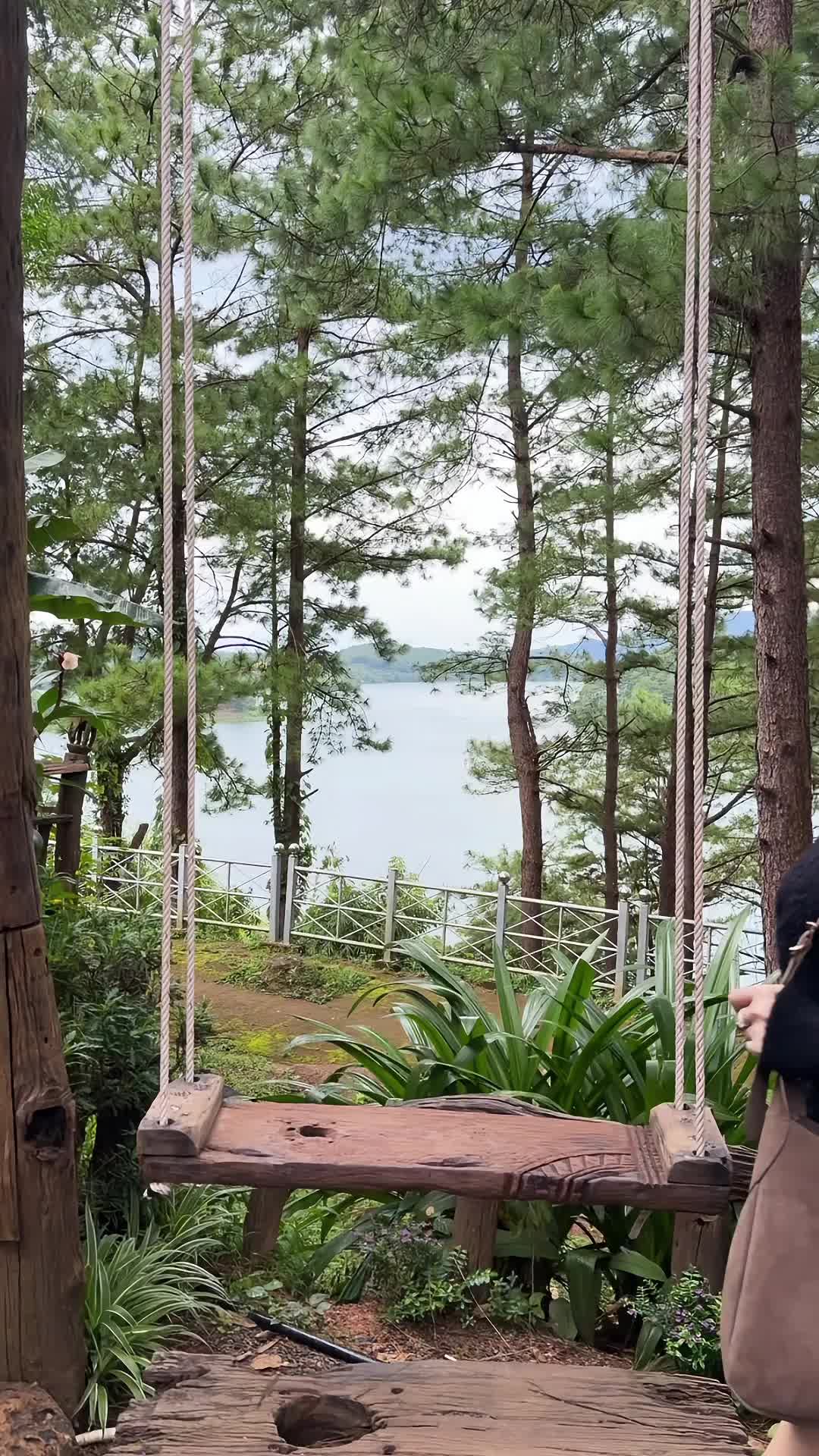 @Bông Vi