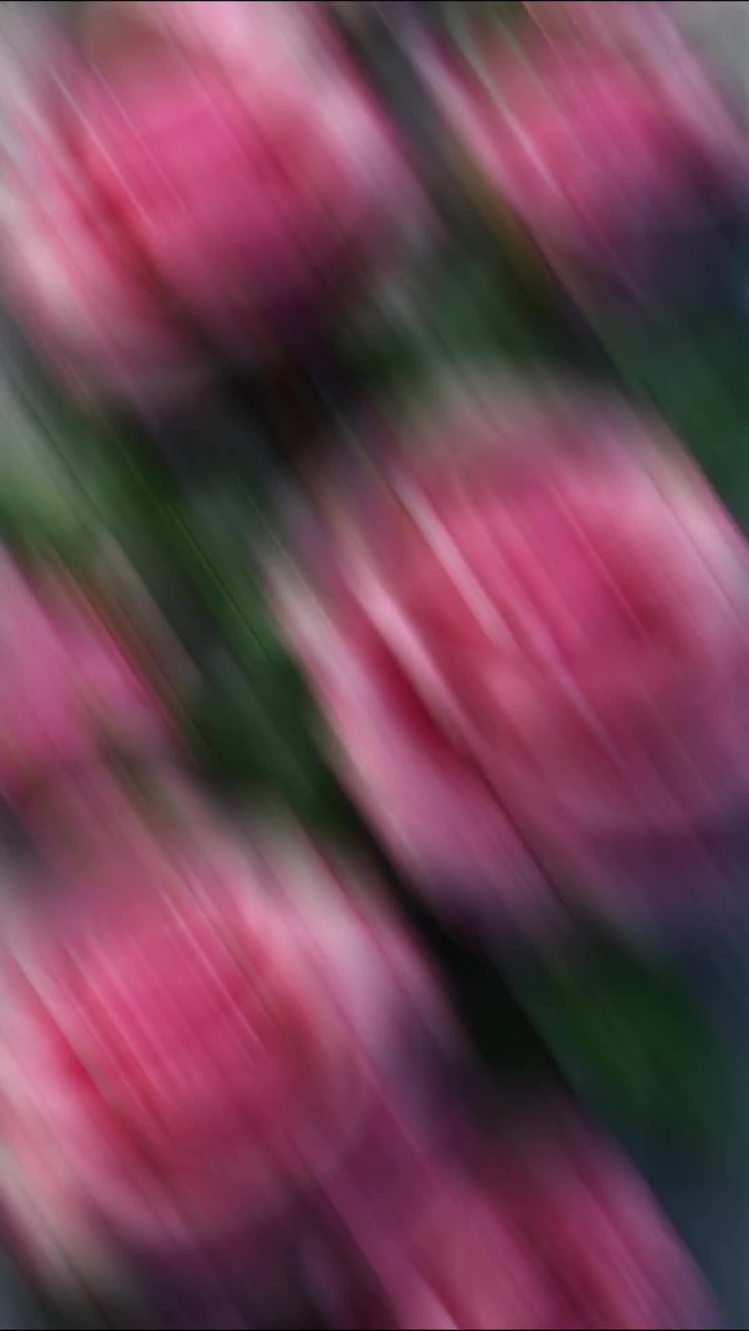 @🎧🕊️🅐︎🅛︎🅞︎🅝︎🅔︎🕊️🎧