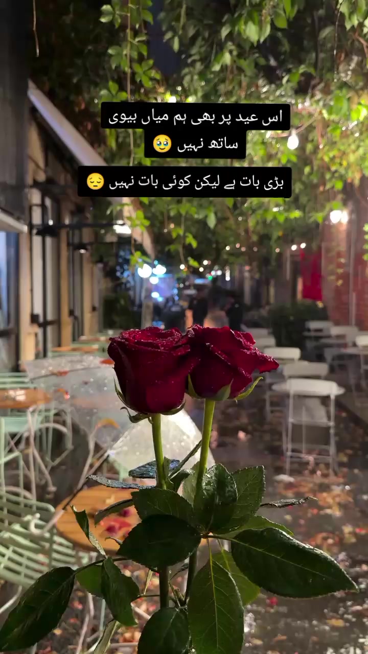 @Mrs❣ Kamran😌❣️