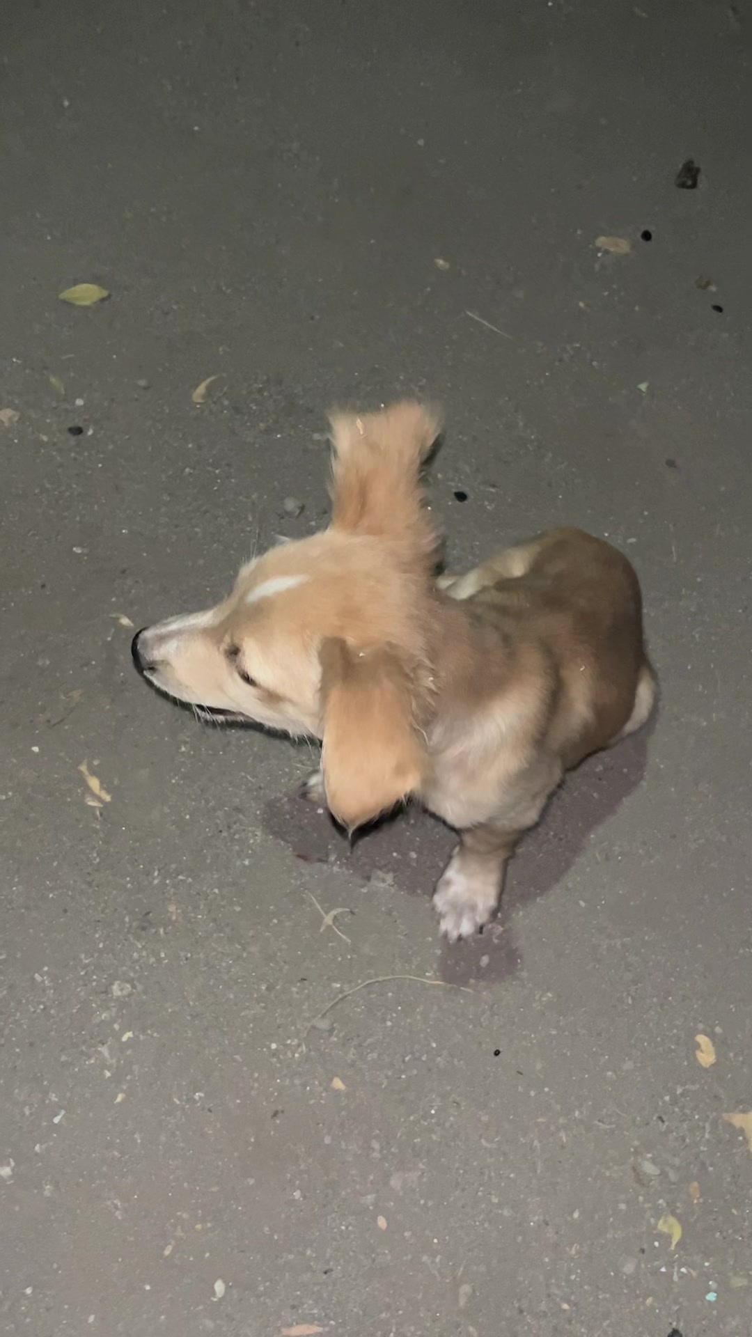 @💕