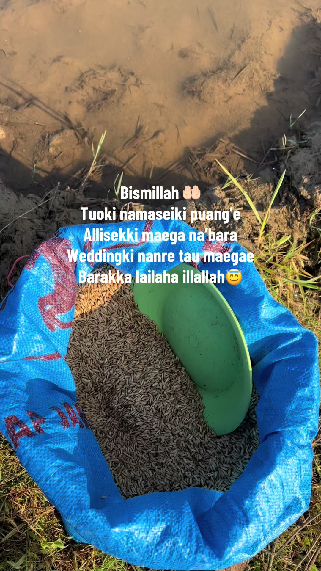 @Ail 02