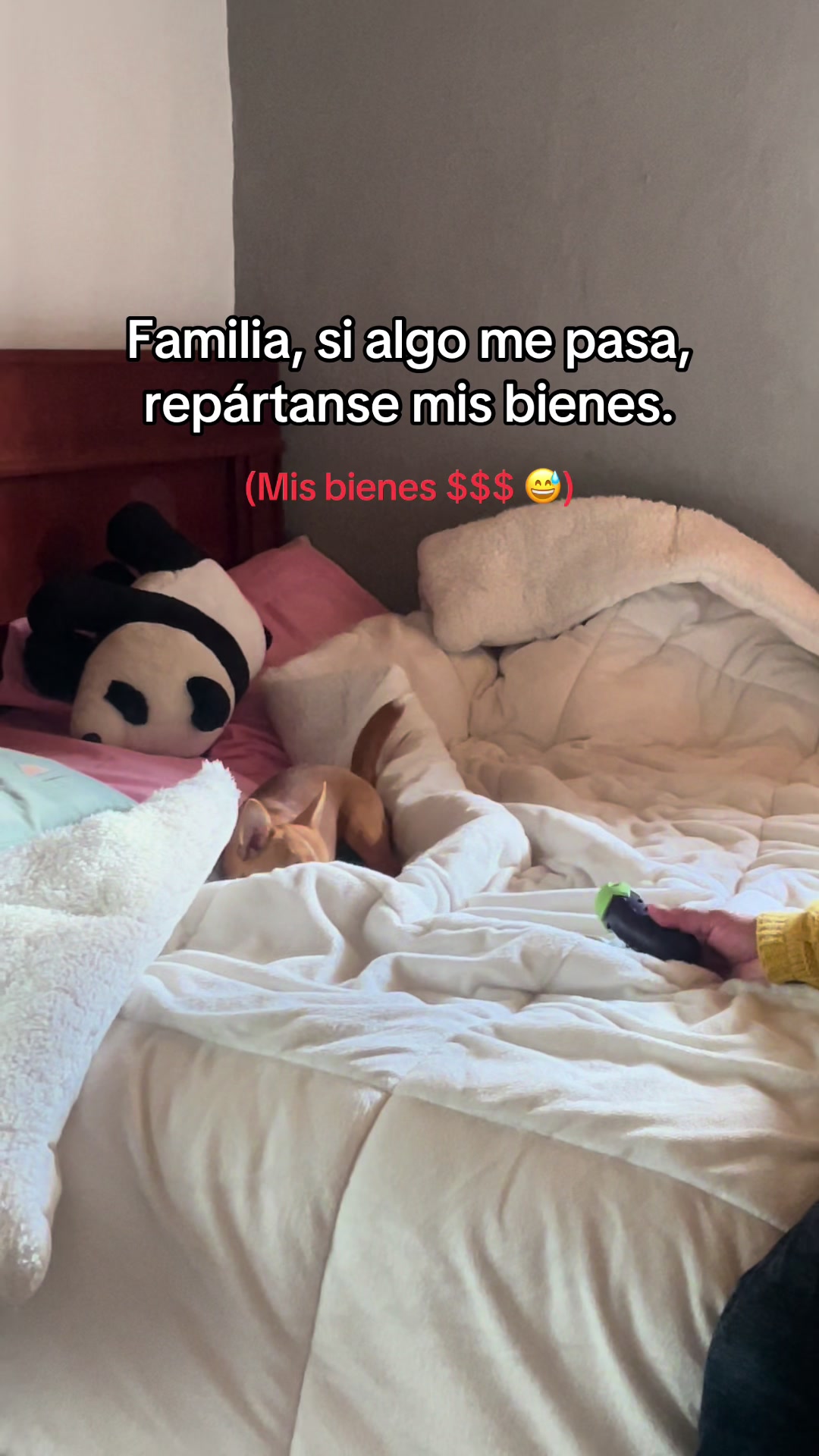 @TeffyCVelez