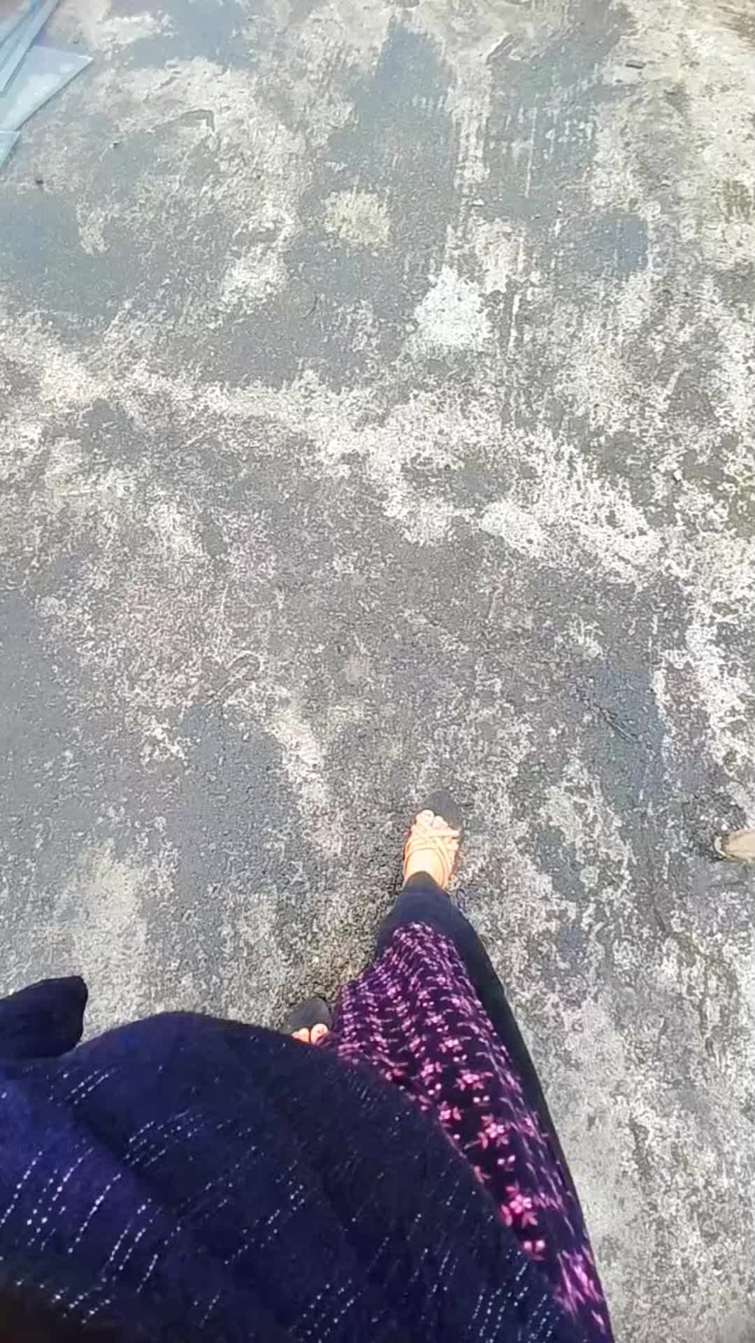 @đ¤đĻSURAIYA QUEENđĻđ¤