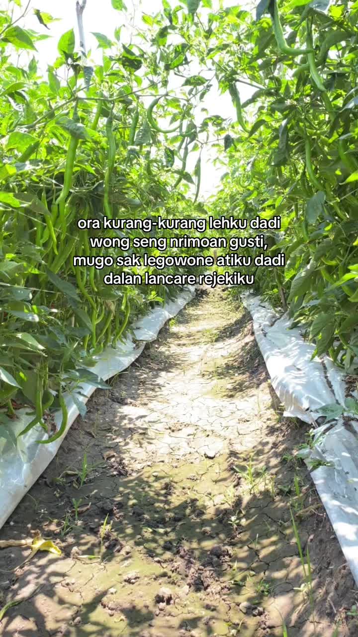 @Galang