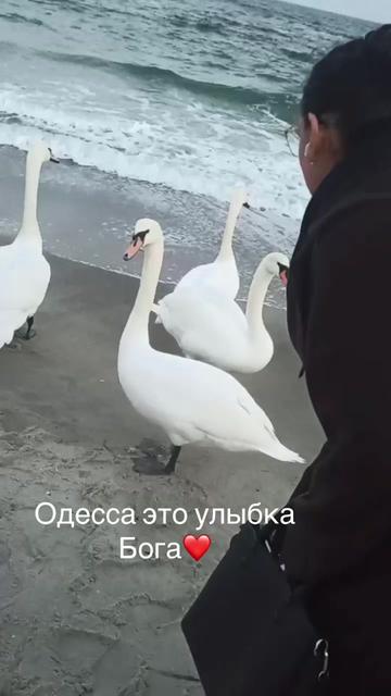 @Viki2704