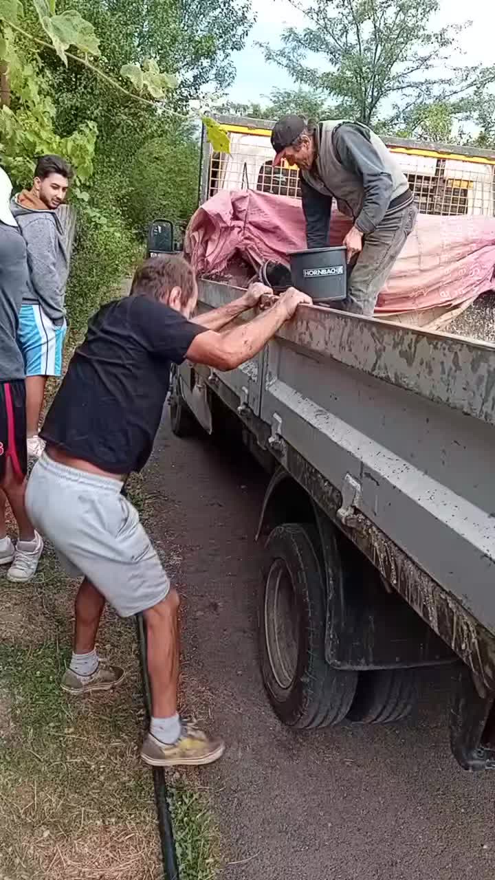 @Nicolae Stănescu