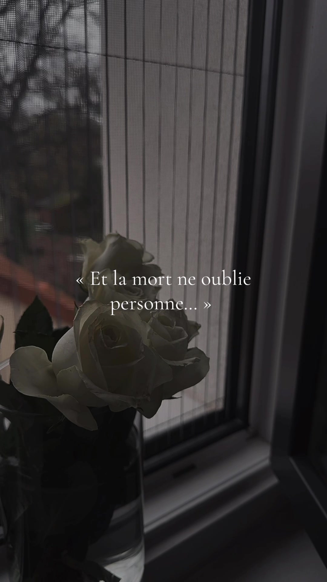 @B E .