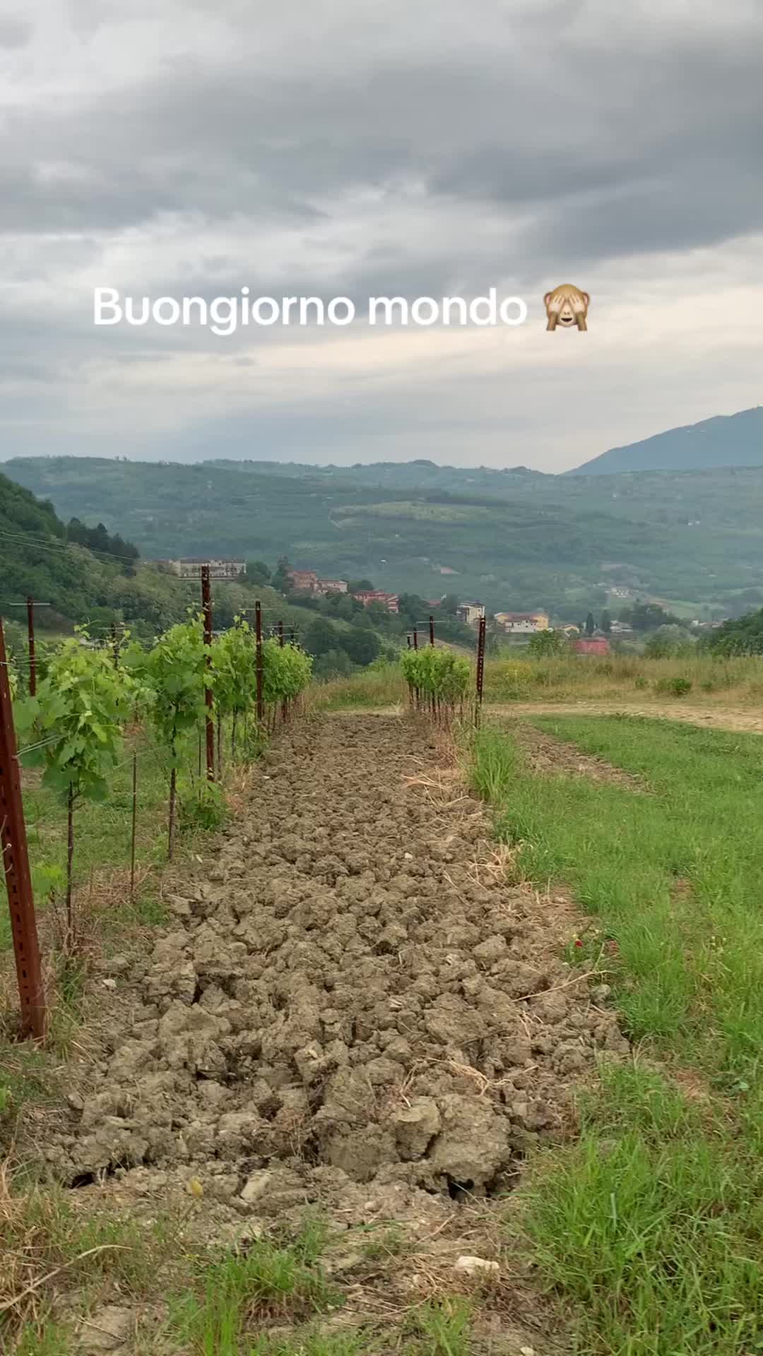 @ginaperone