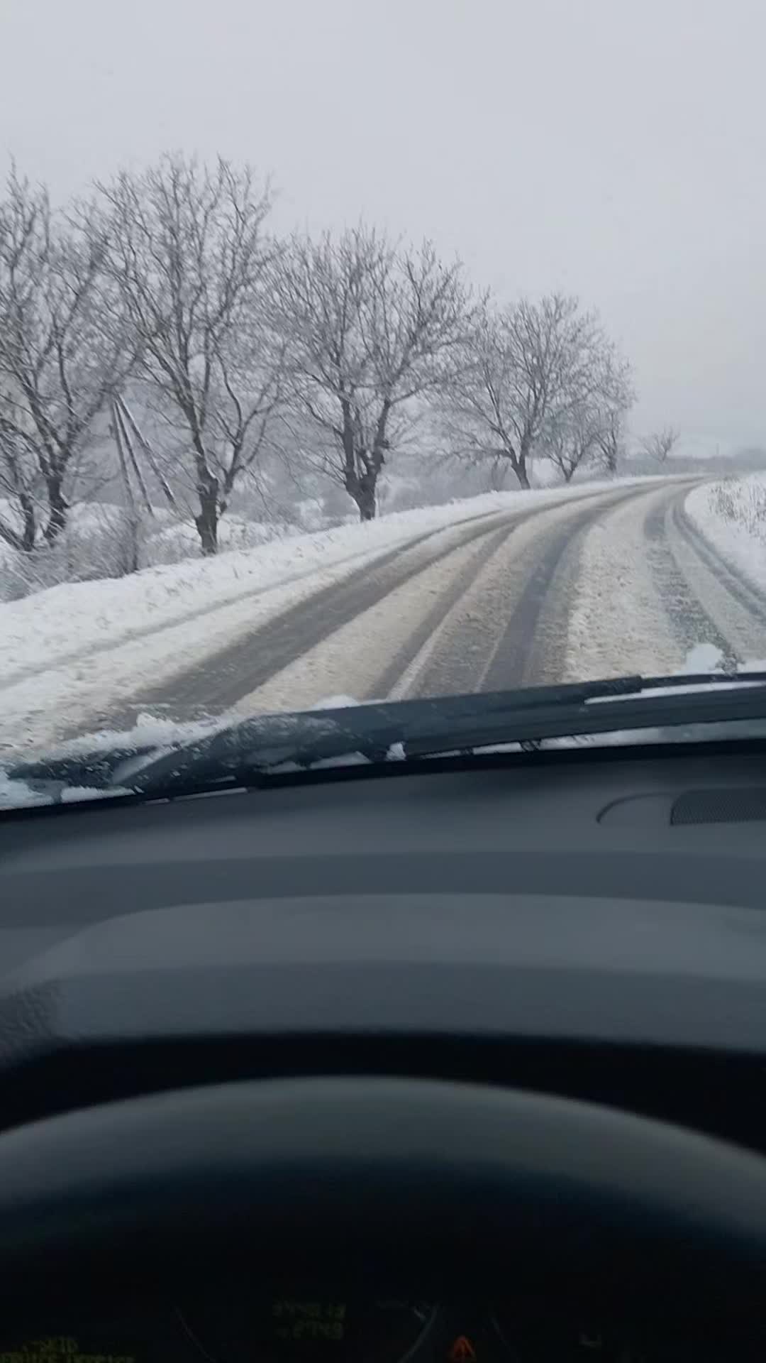 @Petrovici