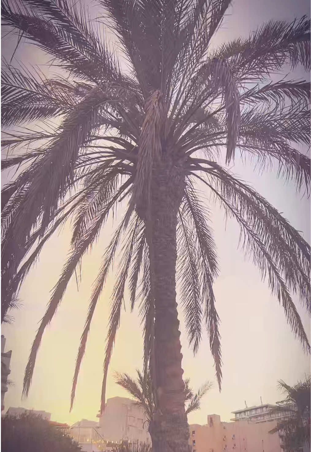 @𝐉𝐚𝐬𝐦𝐢𝐧𝐞