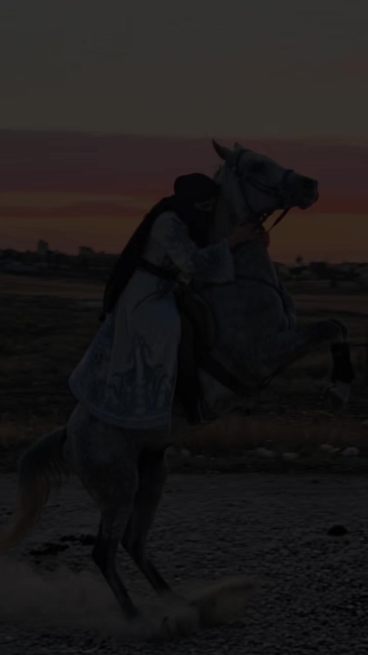 @الفارسة الملثمة 🐎🥷