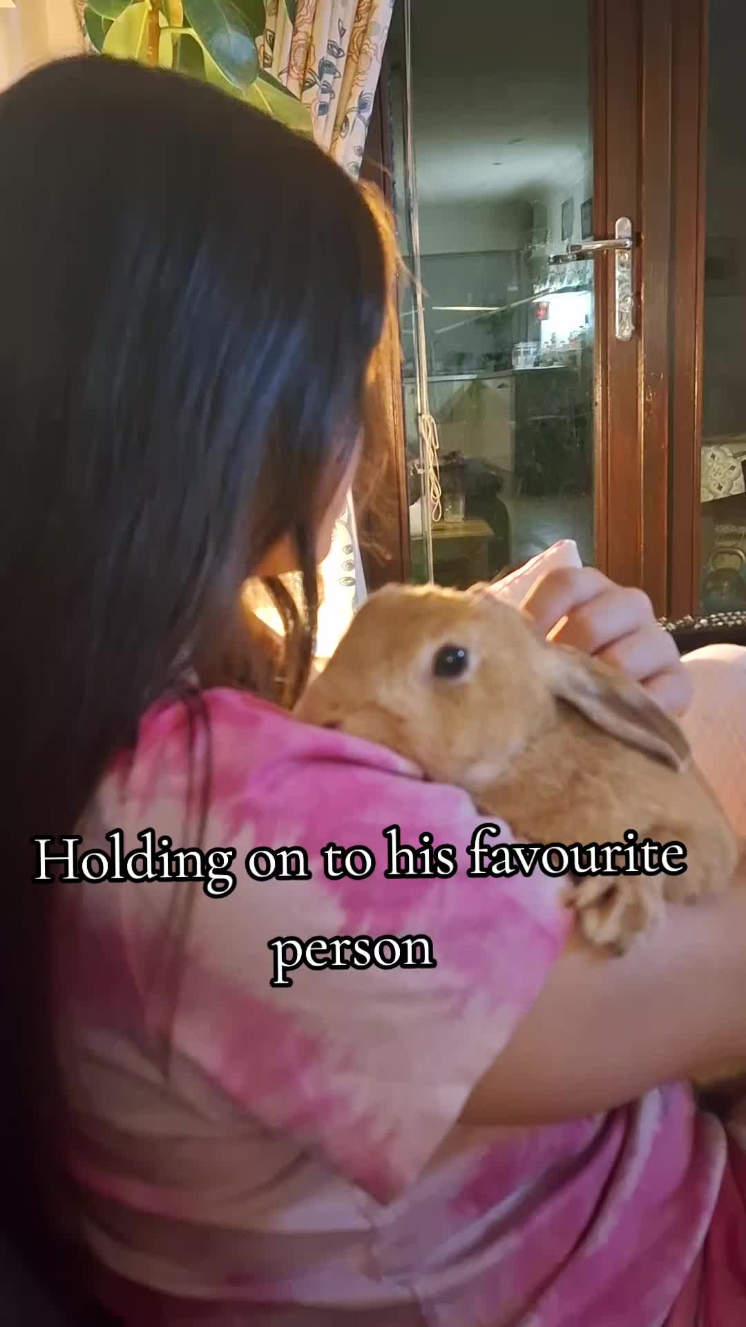 @Bunny Family