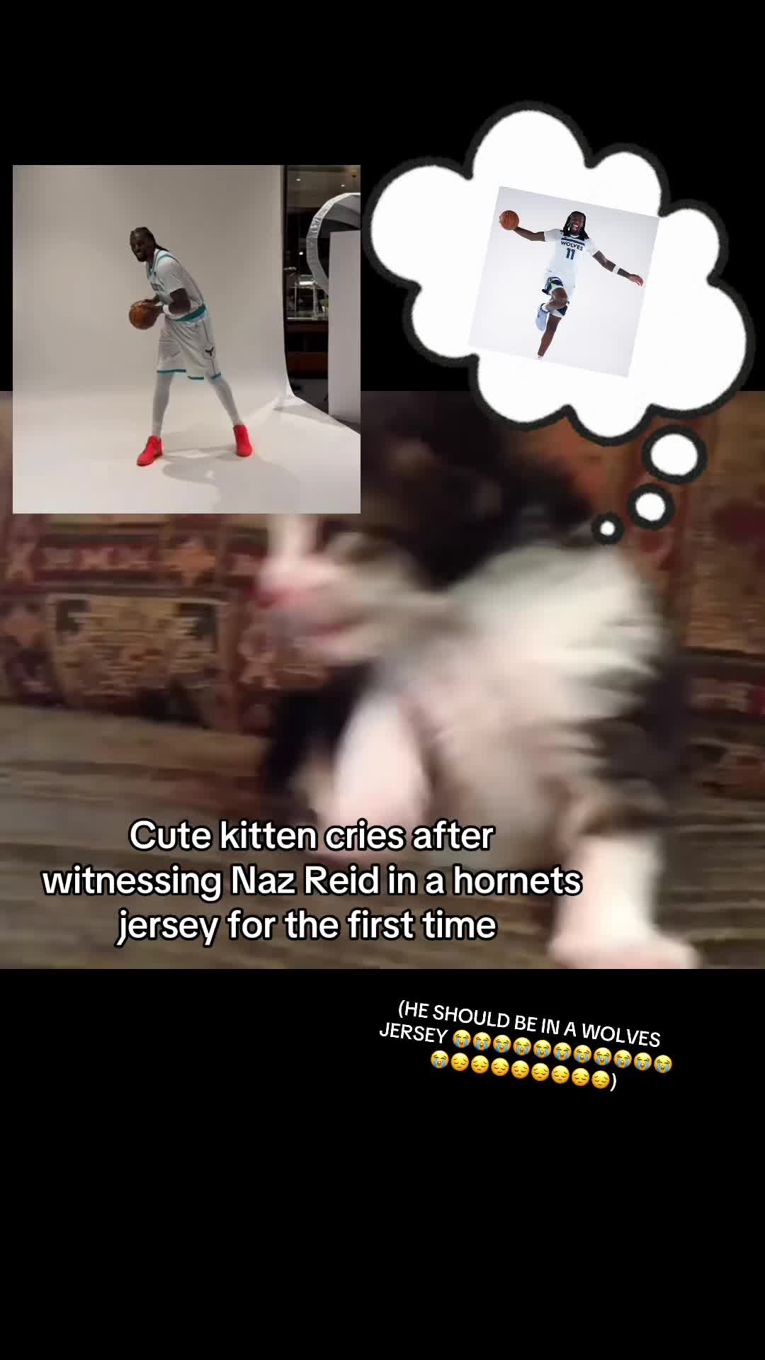 @arrex