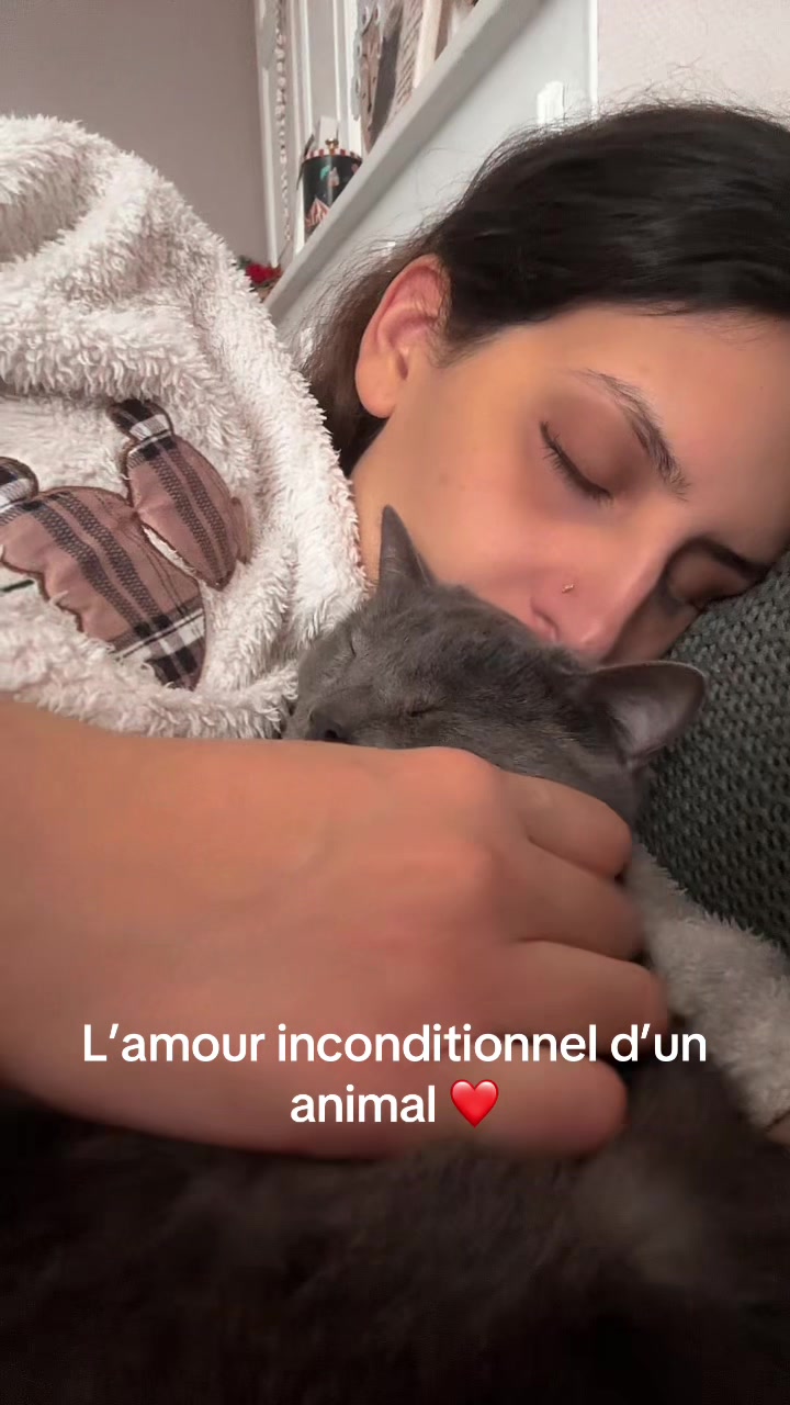 @Le_Chapitre_Ephemere