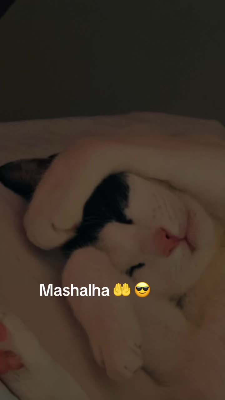 @RumanaAzed
