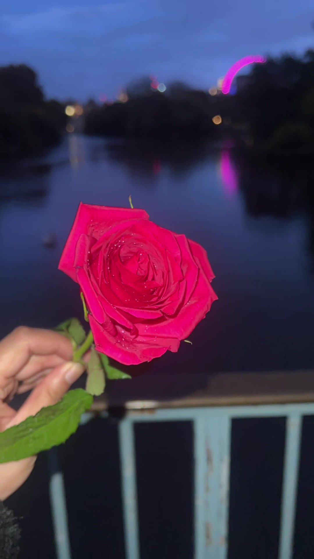 @A🕊️