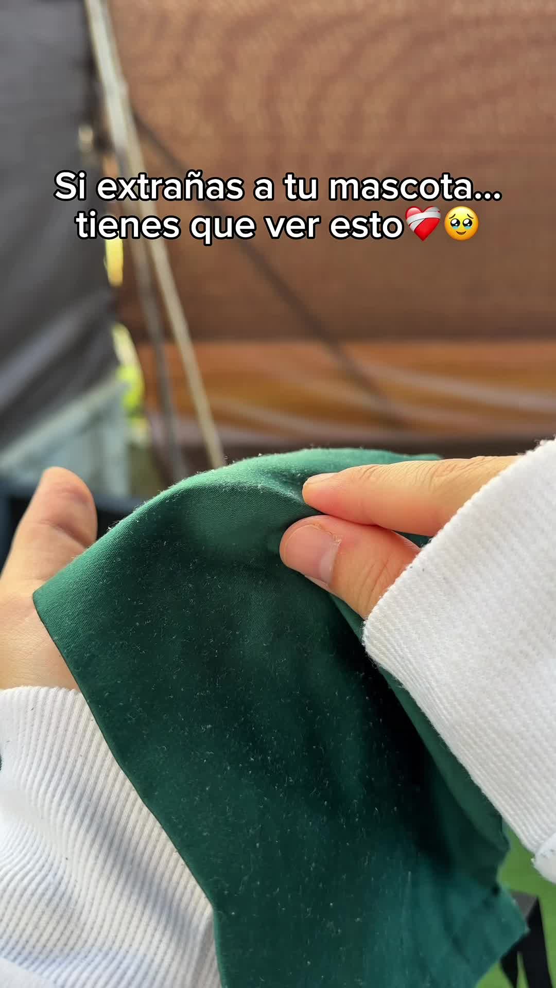 @🔮ENLACE EN LA BI0🔮