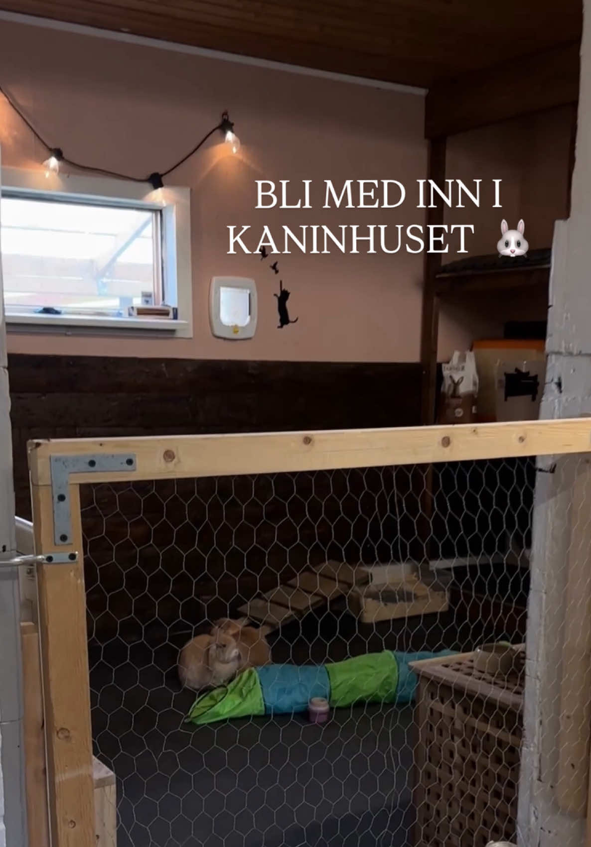@Katrine Bratberg 🌿
