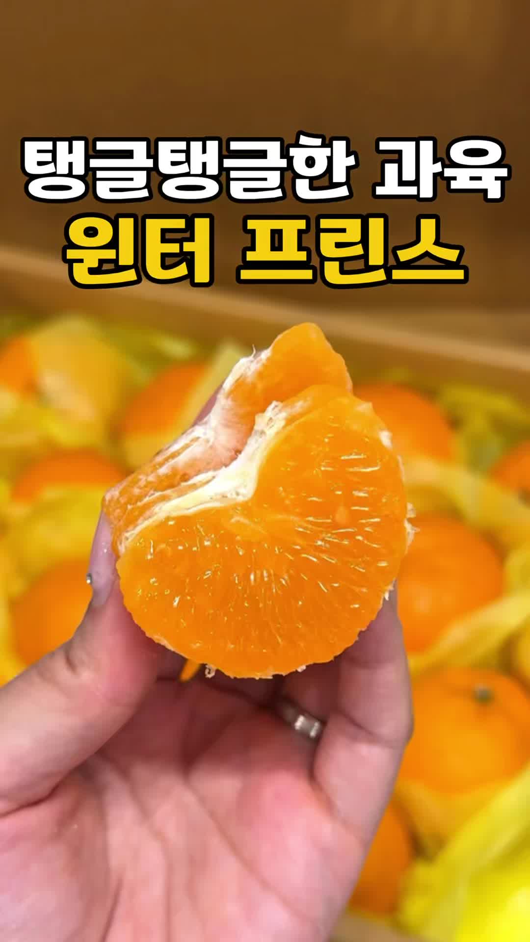 @싱싱햇 - 365일 싱싱한 햇 제철 먹거리