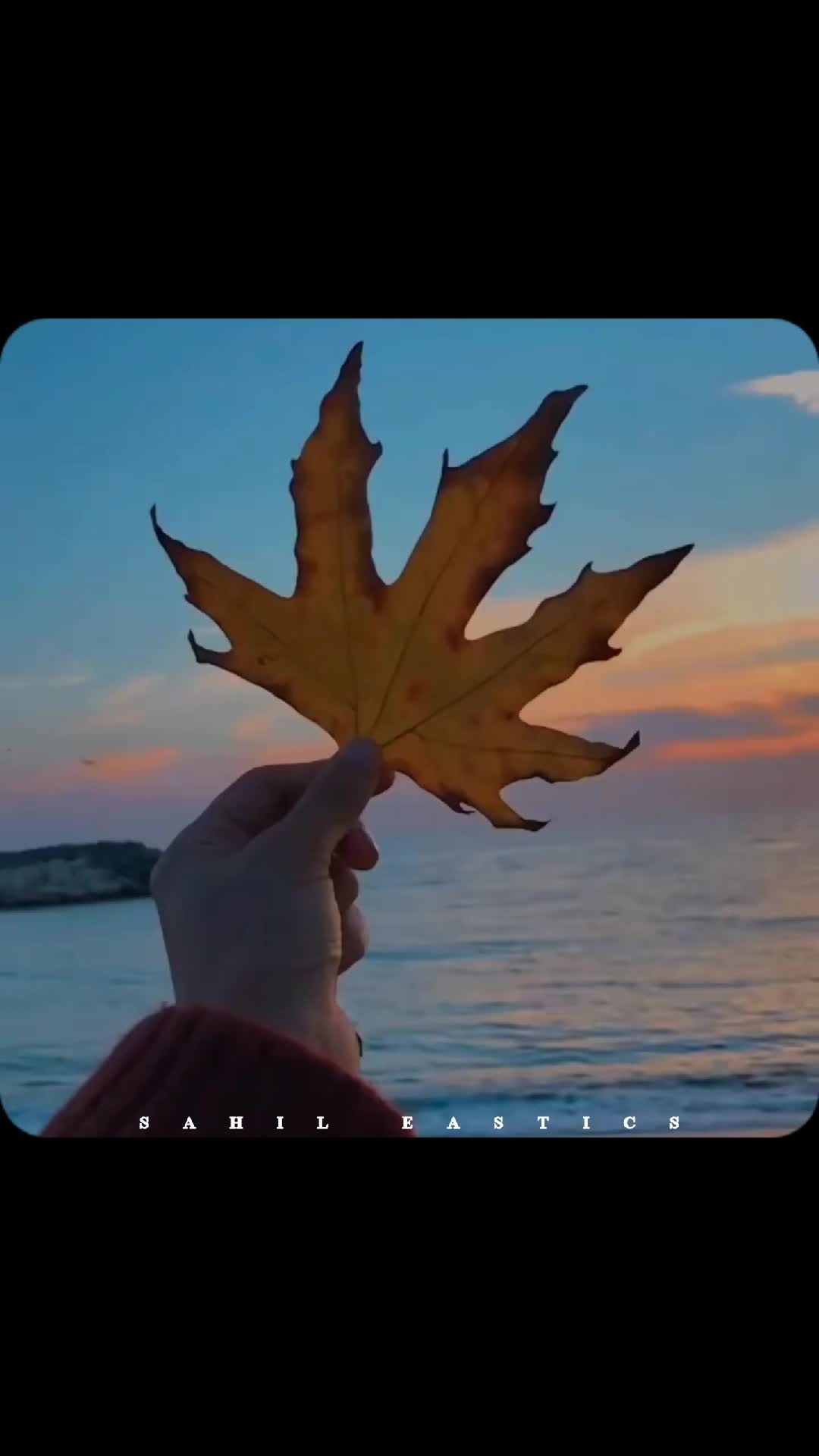 @𝙎𝙖𝙝𝙞𝙡-𝙚𝙨𝙩𝙞𝙘𝙨🌸