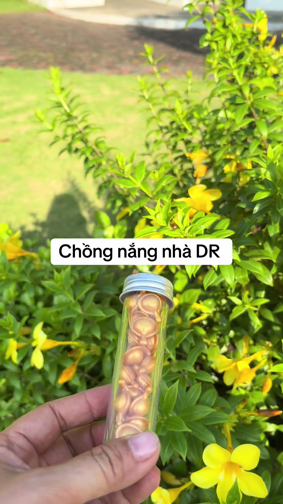 @lethiphuongdiem0