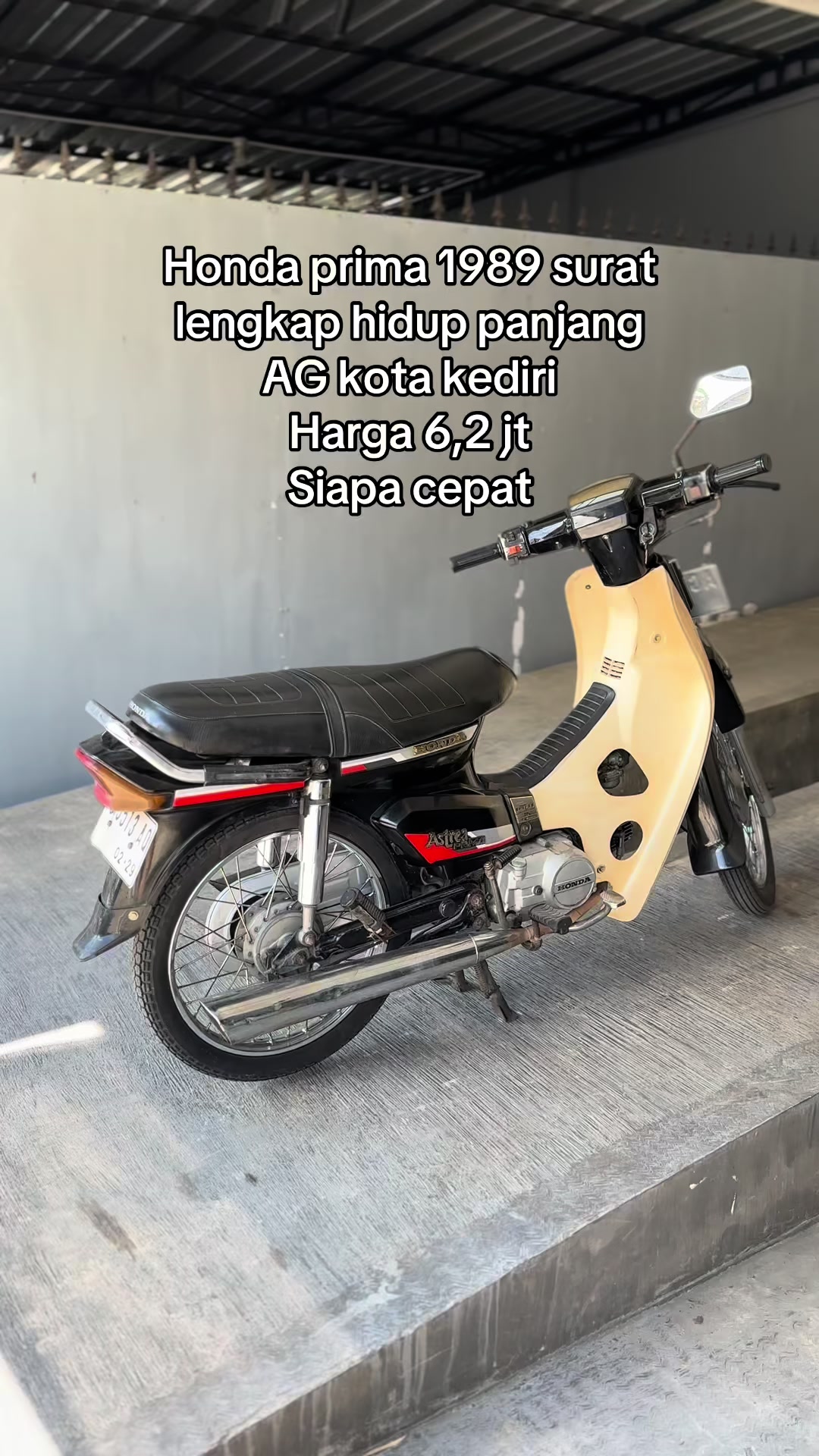 @scooteristmurphys