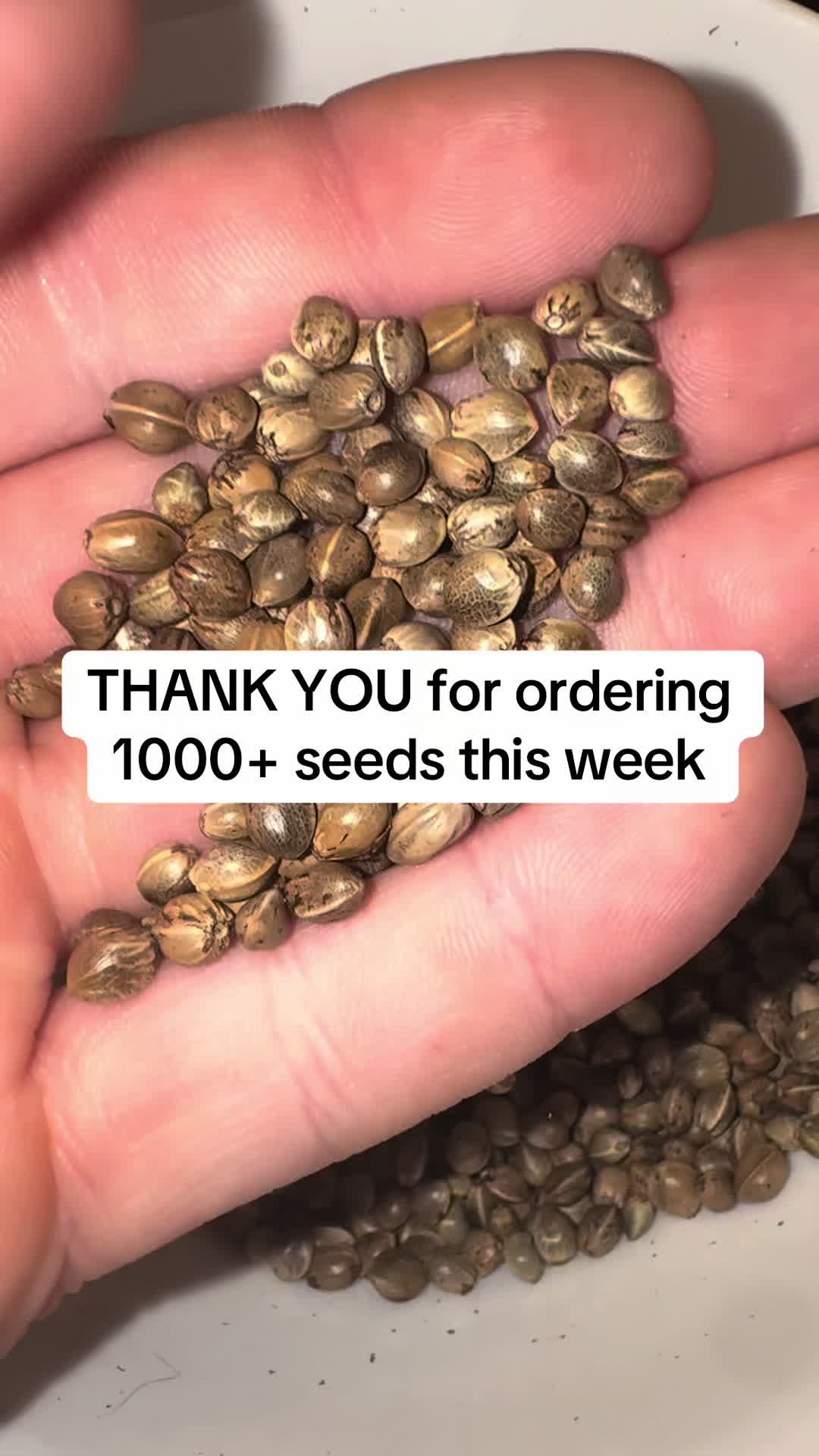 @SEEDTIVA