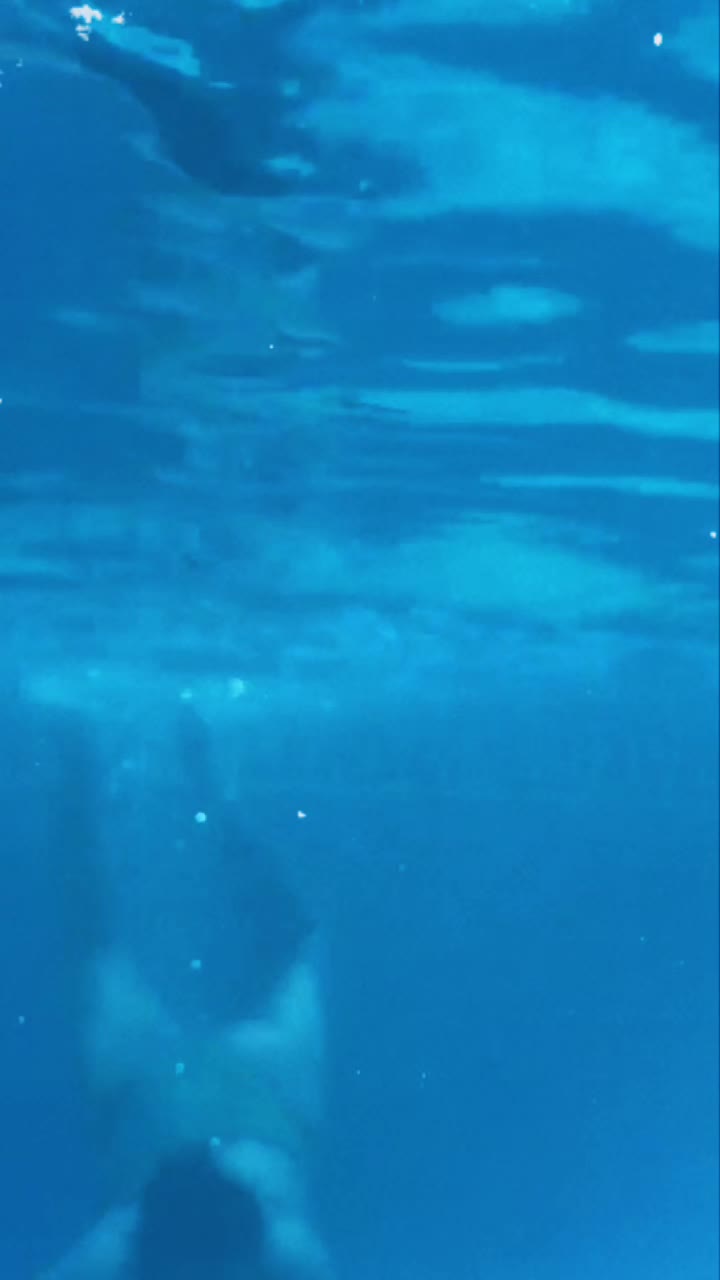 @Jazmin34👑🦋🇳🇮