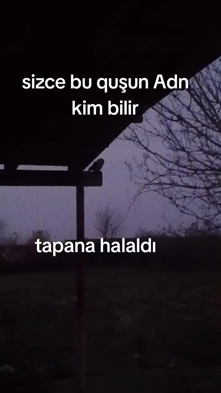 @🖤🖤