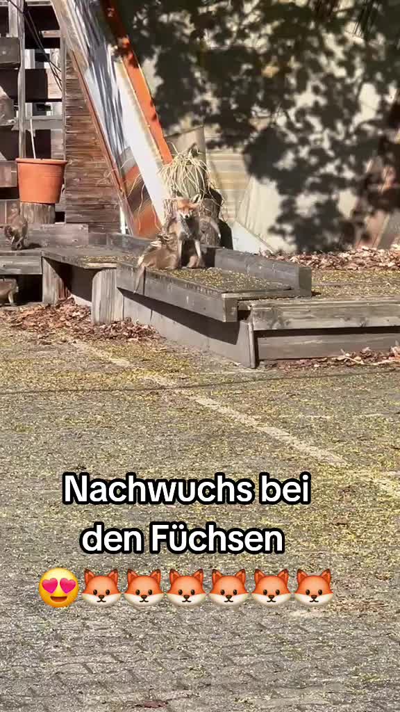 @Kay aus Berlin 🇩🇪