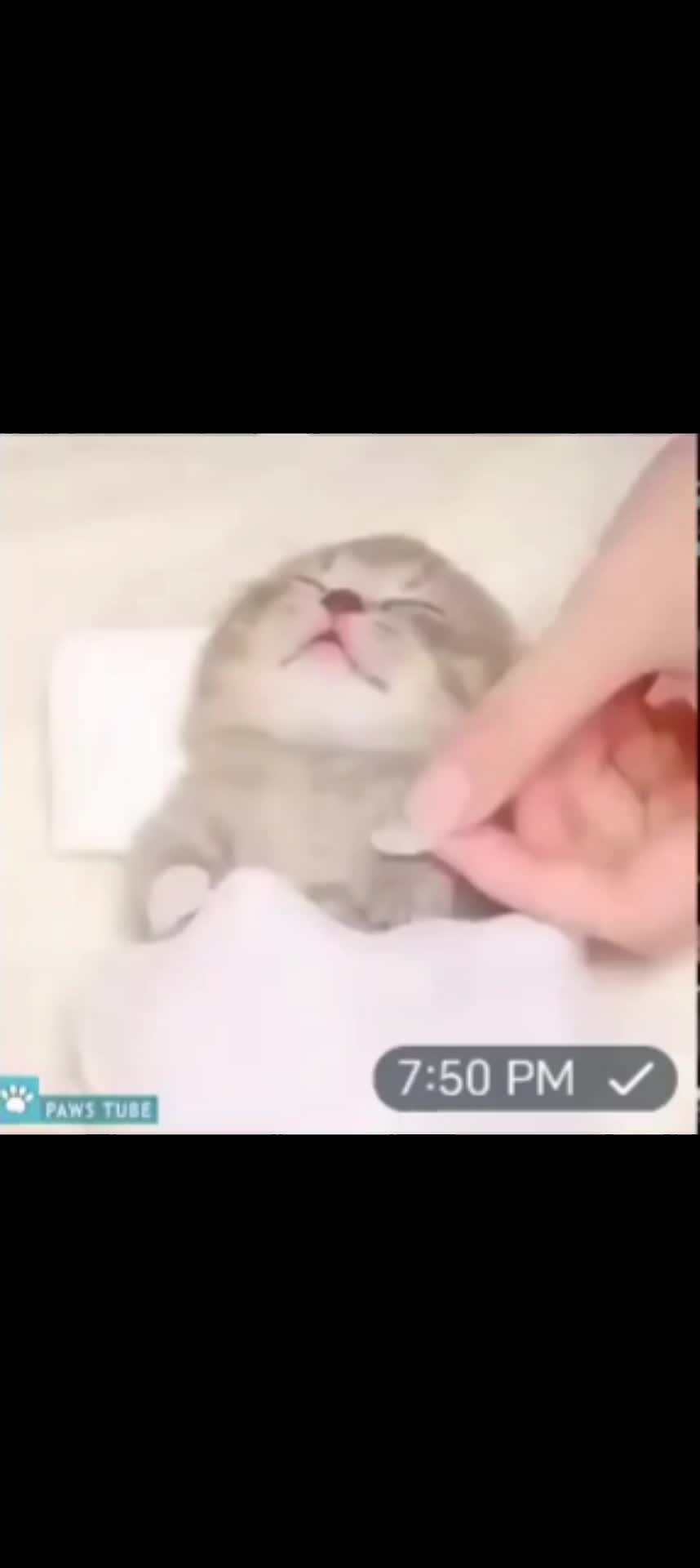 @ДМИТРИЙ РУБИТЬ КРОМСАТЬ
