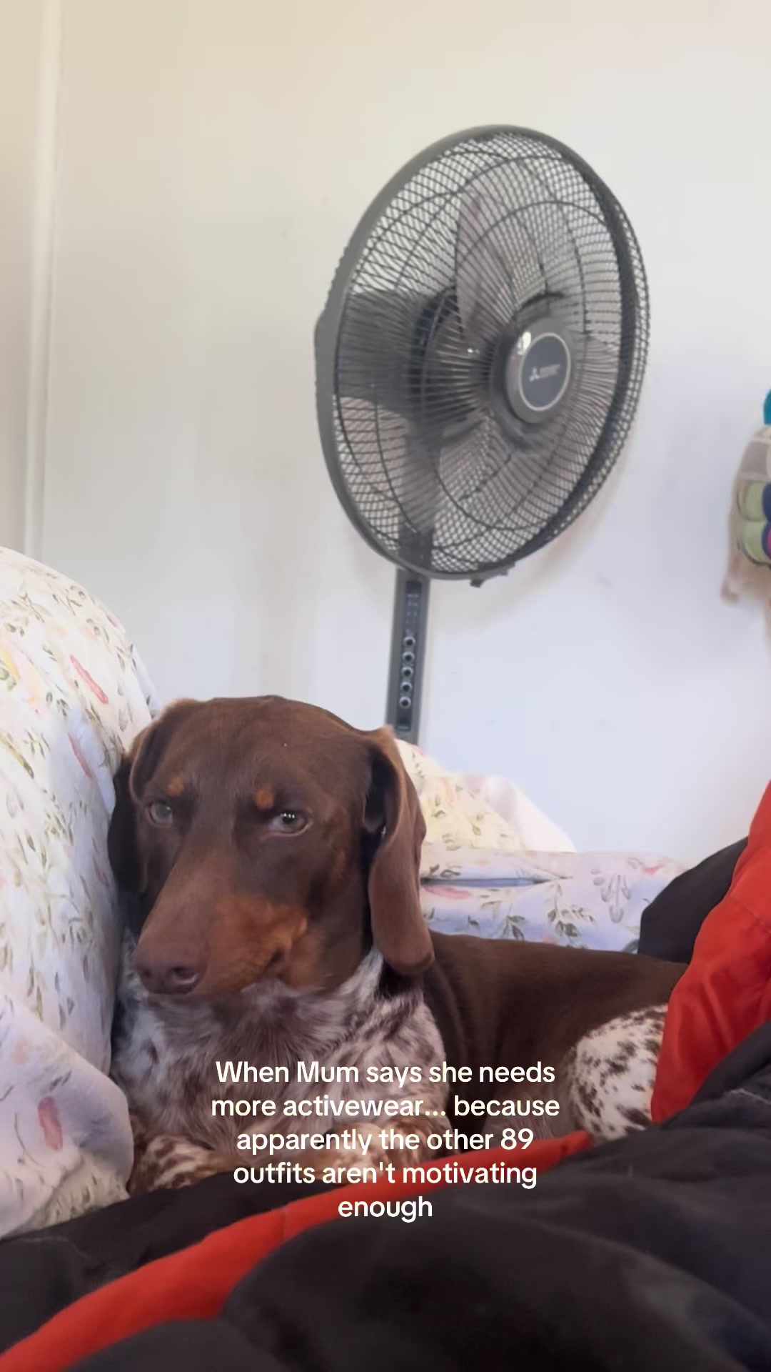 @Laura Adcock