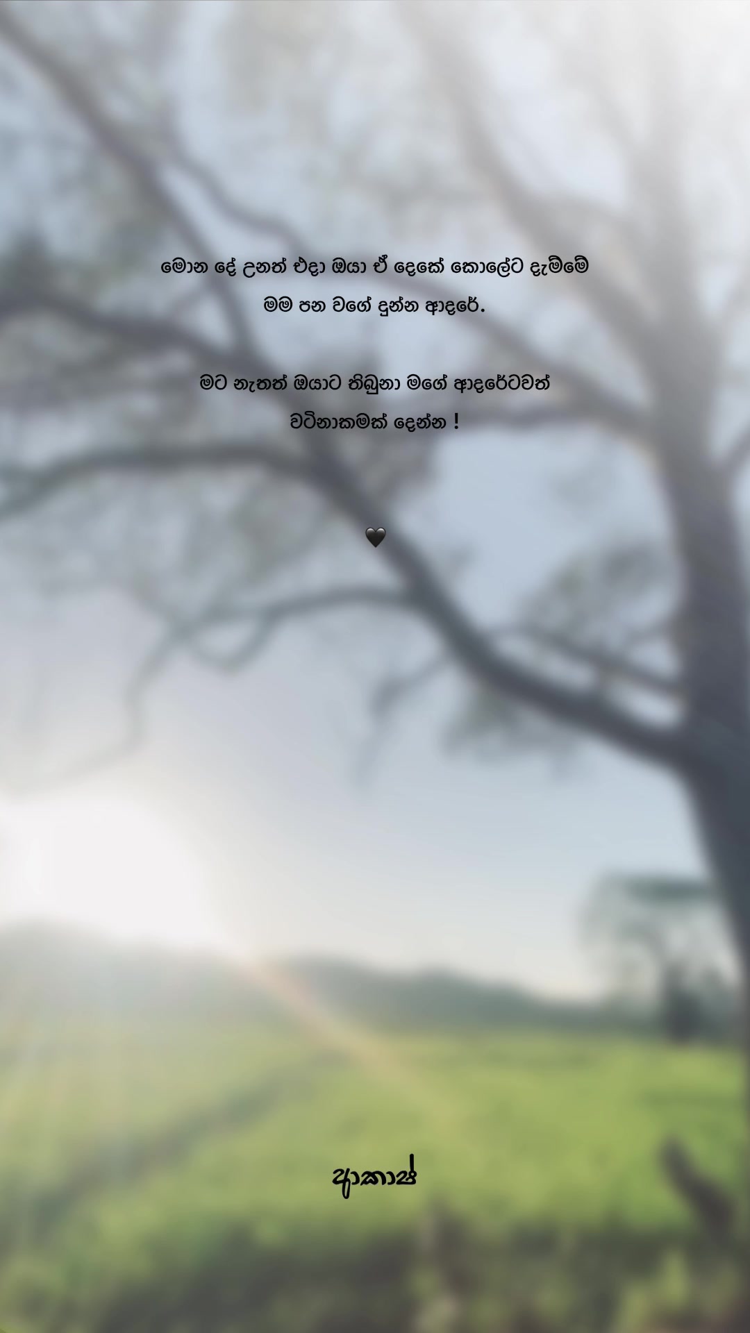 @𝑨𝒌𝒂𝒔𝒉 🧸!