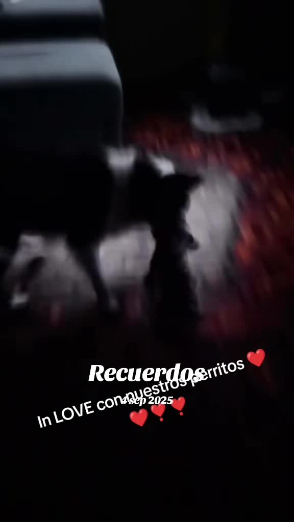 @Pi_CH