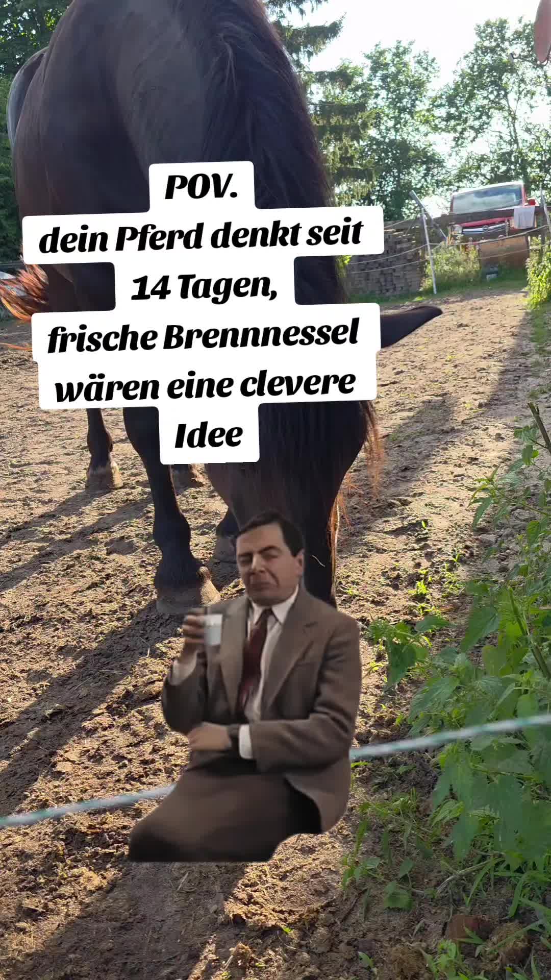 @die_van_fresserinchens
