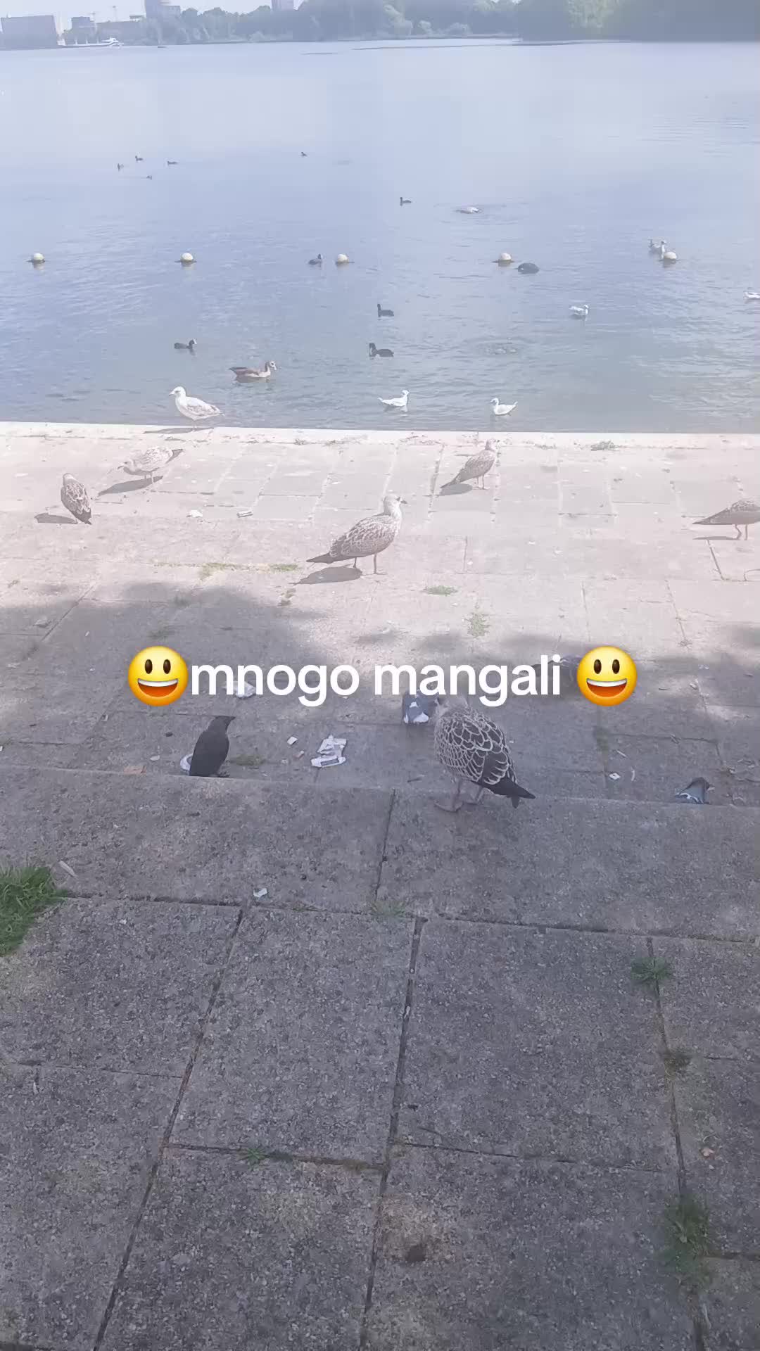 @🇧🇬YASAR 🇧🇬